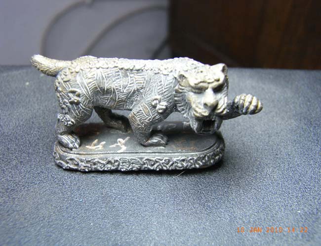 เสือหางด้วน