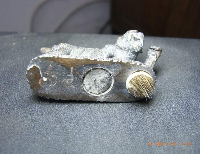 เสือหางด้วน