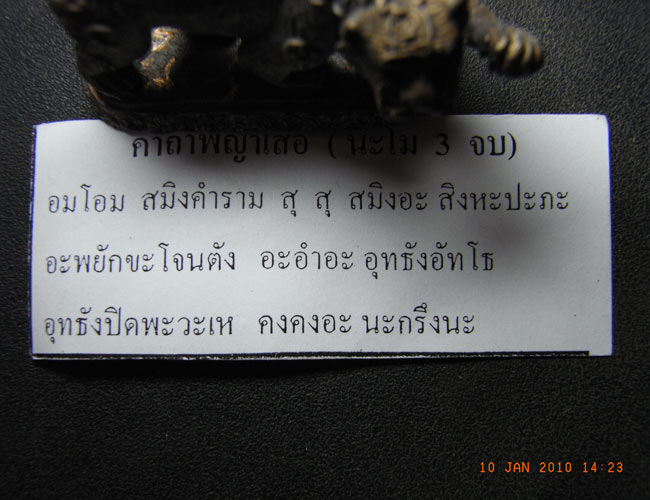 เสือหางด้วน