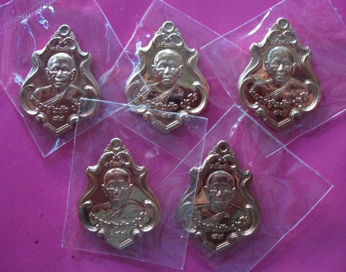 เหรียญปาดตาล หลวงปู่แผ้ว ปวโร วัดรางหมัน (เนื้อทองแดง 5 เหรียญ) ชุดที่1 เคาะเดียว