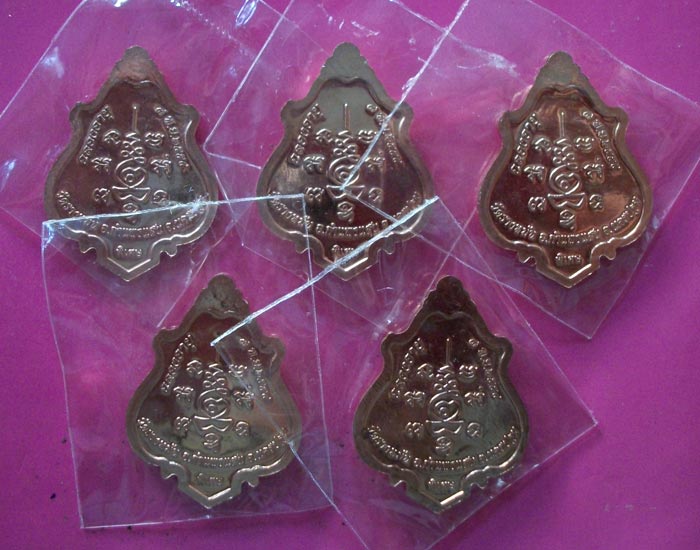 เหรียญปาดตาล หลวงปู่แผ้ว ปวโร วัดรางหมัน (เนื้อทองแดง 5 เหรียญ) ชุดที่1 เคาะเดียว