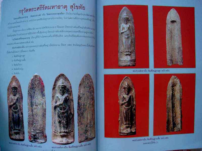 หนังสืออมตะพระเนื้อชิน