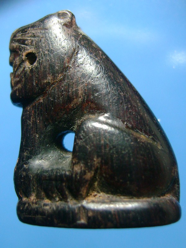 เสือไม้แก่นมะขาม ฝีมือสายวัดคลองด่าน เคาะเดียวครับ