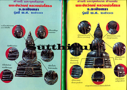 หนังสือ มหาโพธิ์ ชี้เอกลักษณ์ ตำหนิ พระเครื่อง ชุดที่ 1