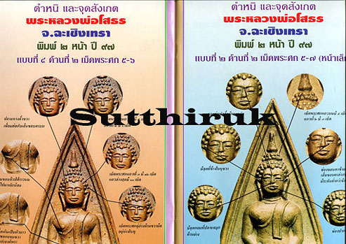หนังสือ มหาโพธิ์ ชี้เอกลักษณ์ ตำหนิ พระเครื่อง ชุดที่ 3