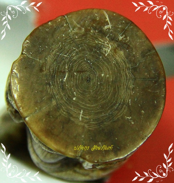 ปลายงาเผือกแกะพระพิฆเนศวรเก่ามาก
