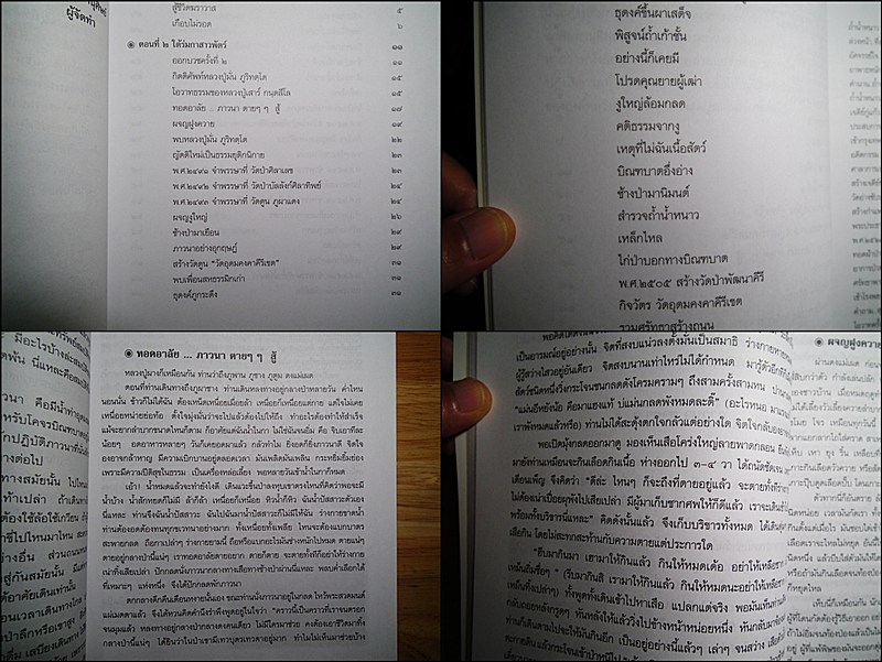 หนังสือชีวประวัติ ปฏิปทา และคติธรรม ของหลวงปู่ผาง จิตตคุตโต หายากครับ 