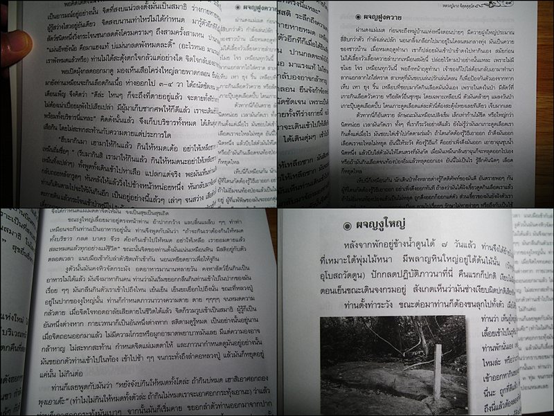 หนังสือชีวประวัติ ปฏิปทา และคติธรรม ของหลวงปู่ผาง จิตตคุตโต หายากครับ 