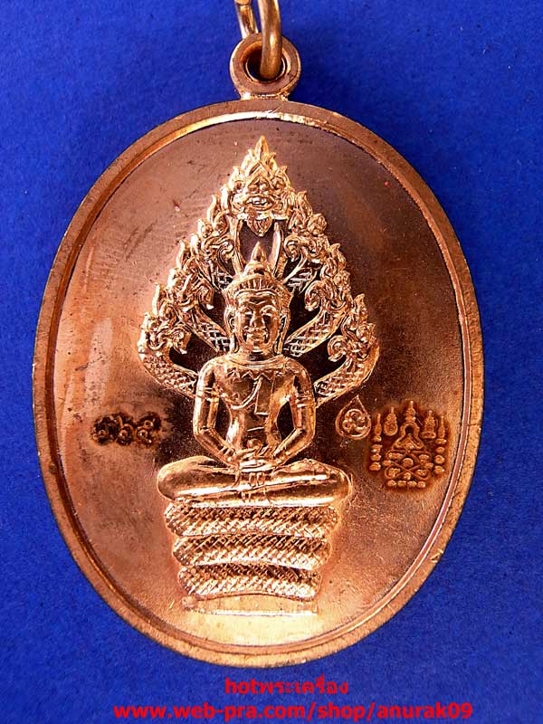 หลวงพ่อสาคร เหรียญนาคปรก เนื้อทองแดง