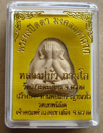 พระปิดตาพิมพ์หลังแบบ รุ่น"มงคลมหาลาภ" หลวงปู่บัว ถามโก วัดเกาะตะเคียน จ.ตราด เนื้อว่าน108