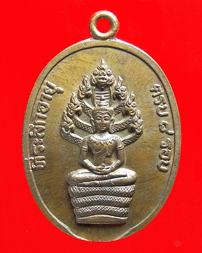 เหรียญนาคปรกแปดรอบ หลวงปู่ทิม เนื้อทองแดง
