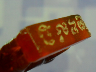 **  แพะแกะเขาควายเผือกสีน้ำผึ้ง  ( ฐาน 1.5  *  สูง 1.5  เซนติเมตร )  หลวงพ่อสิน  วัดละหารใหญ่