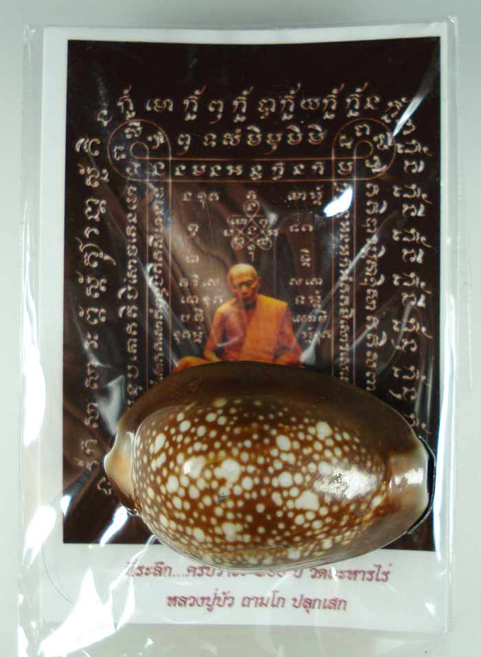 เบี้ยแก้ อุดผงพรายกุมารคลุกรักชันโรง พิธีในโบสถ์วัดละหารไร่ หลวงปู่บัว หลวงปู่คำบุเสก หมายเลข ๑๖๗๗