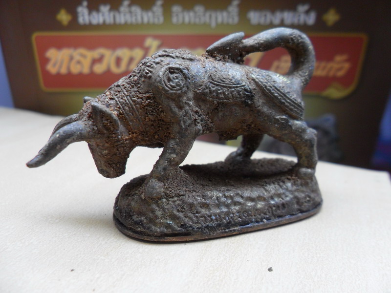 วัวธนูทอง เนื้อสัมฤทธิ์เทดินไท ปี ๕๑ หลวงปู่กาหลง เขี้ยวแก้ว