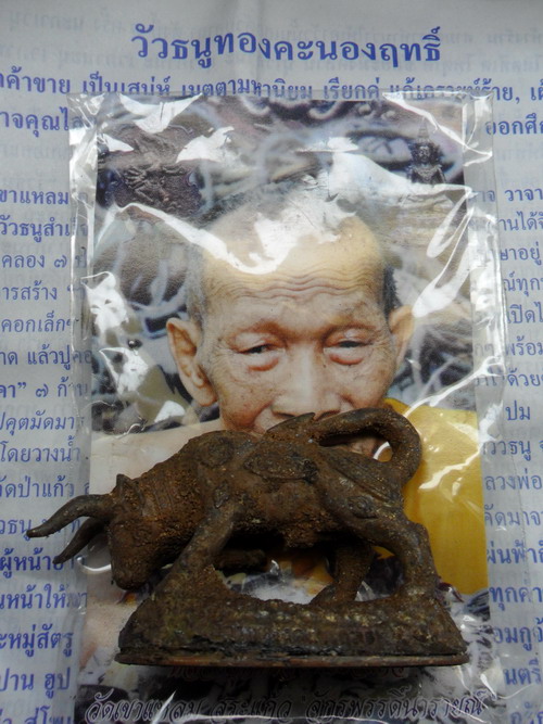 วัวธนูทอง เนื้อสัมฤทธิ์เทดินไท ปี ๕๑ หลวงปู่กาหลง เขี้ยวแก้ว