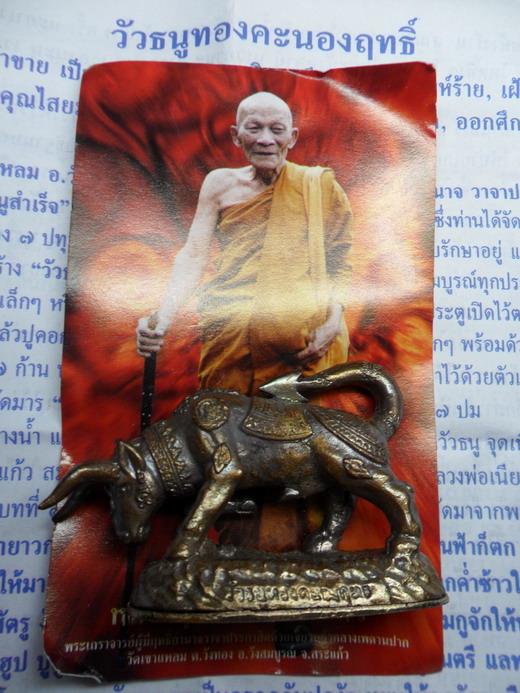 วัวธนูทองคะนองฤทธิ์ เนื้อนวะโลหะขอมพันปี ผิวไฟ ปี ๕๑ หลวงปู่กาหลง เขี้ยวแก้ว