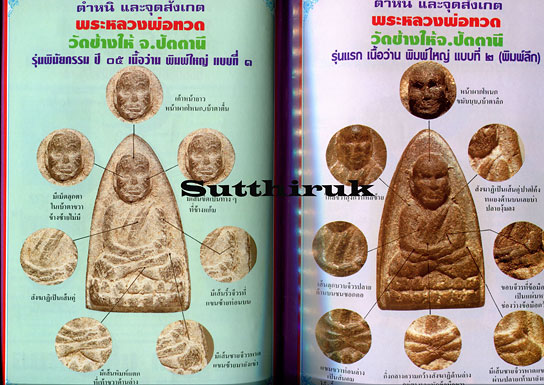 หนังสือ มหาโพธิ์ ชี้เอกลักษณ์ ตำหนิ พระเครื่อง ชุดที่ 2