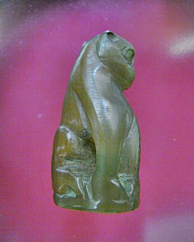 เสือเหลียว เขาแกะ