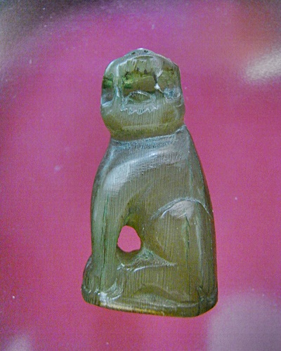 เสือเหลียว เขาแกะ