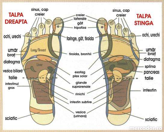 Foot Reflex LANAFORM. NEW Spy Foot