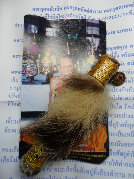 เคาะเดียวแดง!!..ตะกรุดหนังเสือ (พยัคฆ์คำราม) หลวงปู่กาหลง เขี้ยวแก้ว วัดเขาแหลม