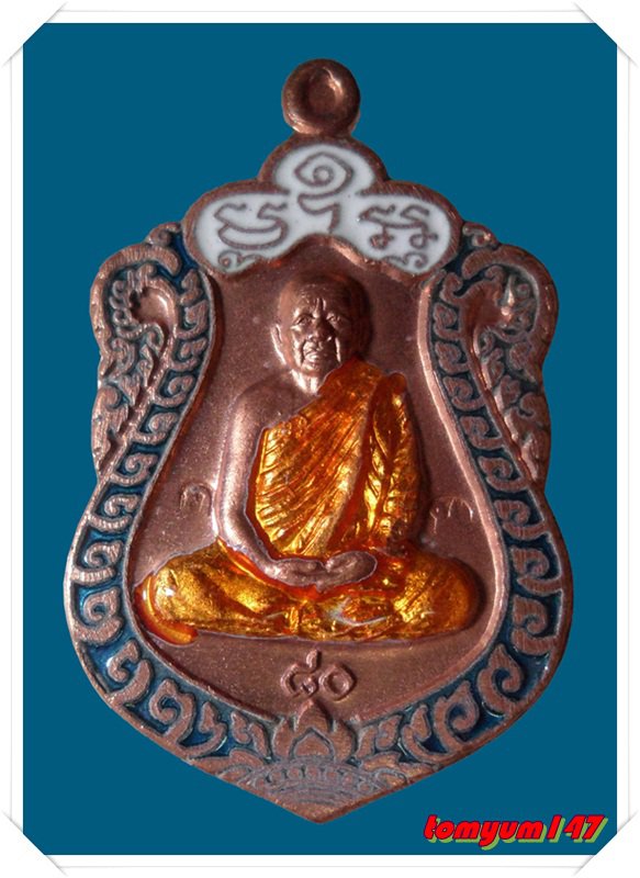 เหรียญเสมาหลวงปู่บุญหนา วัดป่าโสตถิผล รุ่นสร้างศาลา เนื้อทองแดงลงยา หมายเลข 248 พร้อมกล่อง