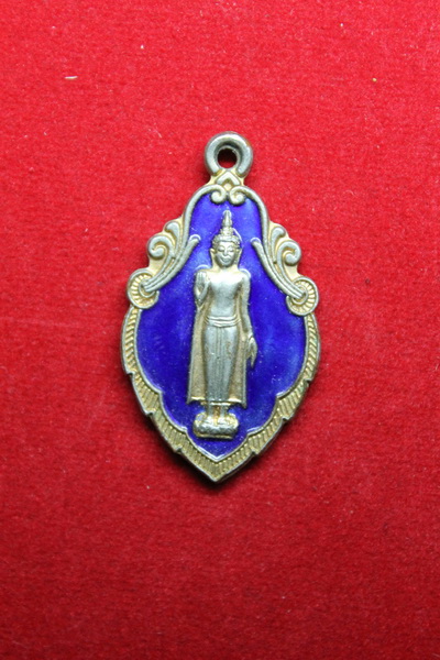 ( จัดไป 20 ) เหรียญนมัสการองค์พระปฐมเจดีย์ ปี 38  / I.116