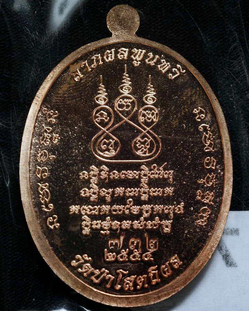 เหรียญเจริญพร สร้างมหาเจดีย์ วัดป่าผาสุการาม หลวงปู่บุญหนา ธมุมทินุโน เนื้อทองแดง หมายเลข 732