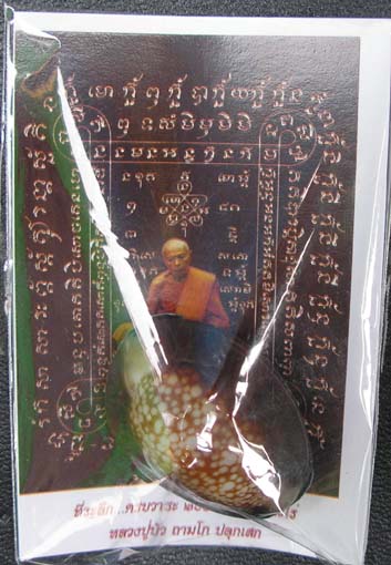 (((เคาะเดียว))) เบี้ยแก้ อุดโลหะจารมือ ตอกโค๊ด หลวงปู่ทิม วัดระหารไร่  คัดสวยซองเดิม