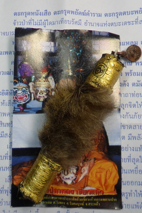 เคาะเดียว..ตะกรุดหนังเสือ พยัคฆ์คำราม ปี 50 หลวงปู่กาหลง เขี้ยวแก้ว วัดเขาแหลม
