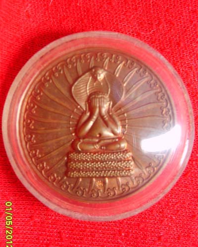ปิดตาพังพะกาฬ วัดมะม่างขาว