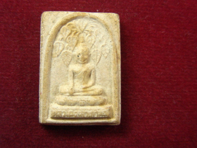 "จ่าสันต์" แดงเคาะเดียว/พระพุทธปรกโพธิ์  วัดเนกขัมมาราม  ราชบุรี