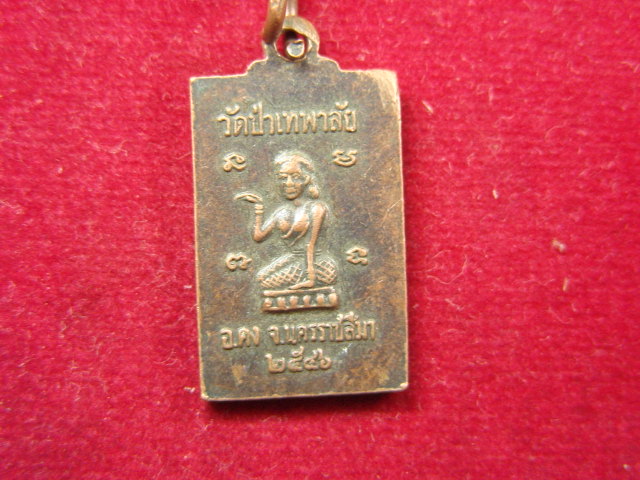 "จ่าสันต์" แดงเคาะเดียว/เหรียญหลวงพ่อจิต  วัดป่าเทพาลัย  นครราชสีมา