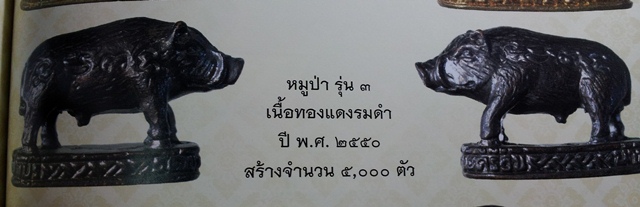 หมูป่า รุ่น3 เนื้อทองแดงรมดำ ลป โทน วัดเขาน้อยคีรีวัน ชลบุรี ปี 2550