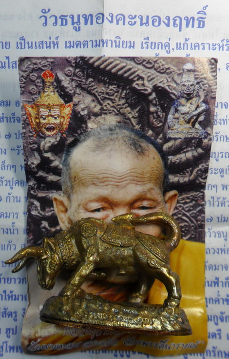 เคาะเดียว..วัวธนูทองคะนองฤทธิ์ เนื้อปลอกลูกปืน ปี ๕๑ หลวงปู่กาหลง เขี้ยวแก้ว