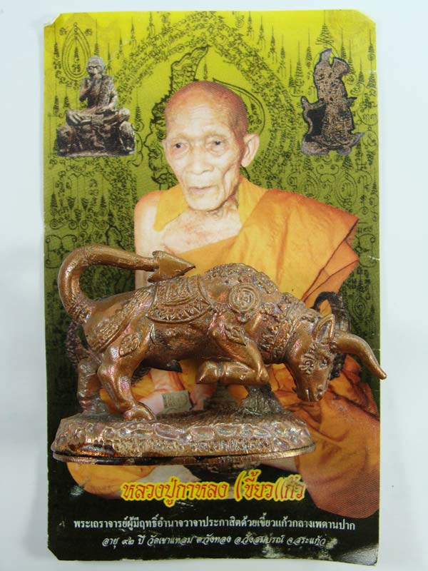 หลวงปู่กาหลง เขี้ยวแก้ว วัวธนูทองคะนองฤทธิ์ เนื้อนวโลหะขอมโบราณพันปี (((เคาะเดียวครับ)))