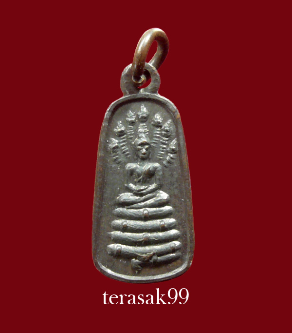 เหรียญนาคปรกใบมะขาม เทพนิมิตร อ.ชุม ไชยคีรี ปี2497 ราคาเบาๆ (6)