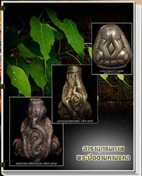 สารานุกรมภาพพระปิดตามหามงคล (500 ภาพ) e-book