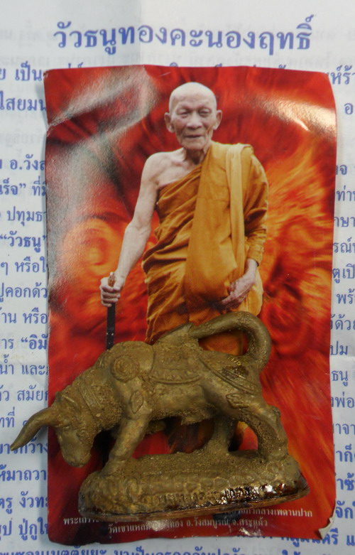 เคาะเดียว..วัวธนูทองคะนองฤทธิ์ เนื้อสัมฤทธิ์เทดินไท ปี ๕๑ หลวงปู่กาหลง เขี้ยวแก้ว