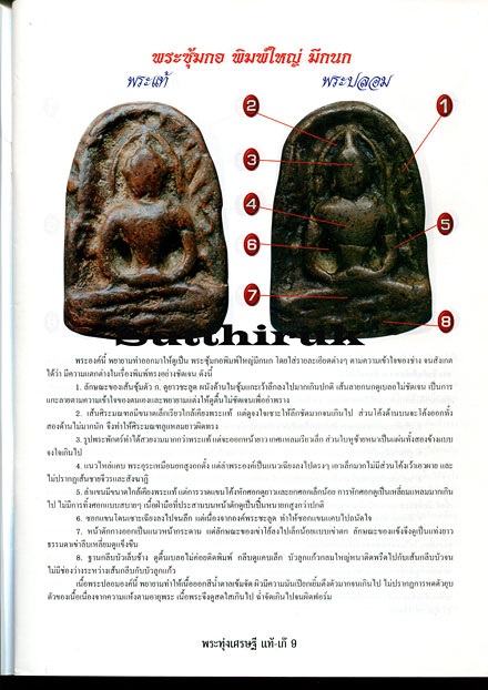 หนังสือ ข้อแตกต่างระหว่าง พระกรุทุ่งเศรษฐี พระซุ้มกอ-พระลีลาเม็ดขนุน-พระพลูจีบ-พระกลีบจำปา แท้ & เก๊