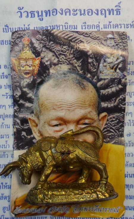 เคาะเดียว..วัวธนูทองคะนองฤทธิ์ เนื้อปลอกลูกปืน ปี ๕๑ หลวงปู่กาหลง เขี้ยวแก้ว