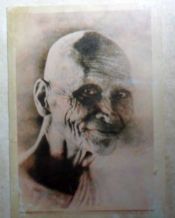 My Image 16