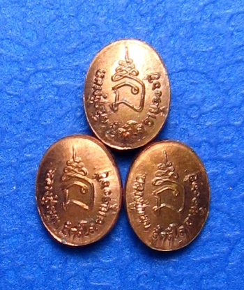 เหรียญเม็ดยามหาสมปราถนาหลวงปู่หมุนยกชุด(11)