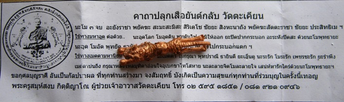 เสือยันต์กลับ หลวงปู่แย้ม วัดตะเคียน จ นนทบุรี เนื้อทองเเดง พิมพ์ใหญ่