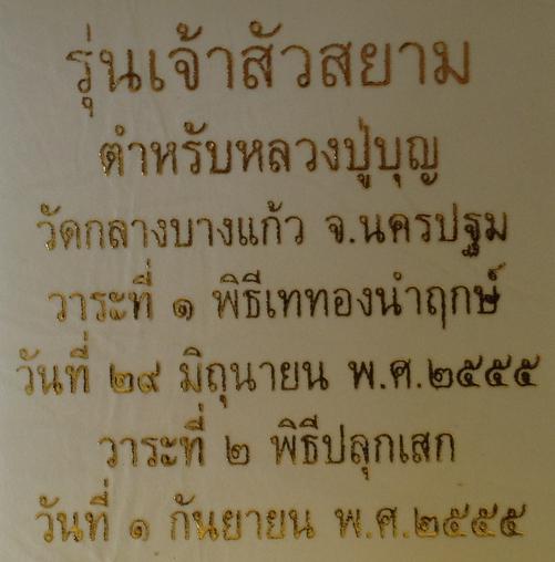 เหรียญเจ้าสัวสยาม หลวงพ่อคง วัดกลางบางแก้ว เนื้อเหล็กน้ำพี้ สร้าง 199 เหรียญเท่านั้น