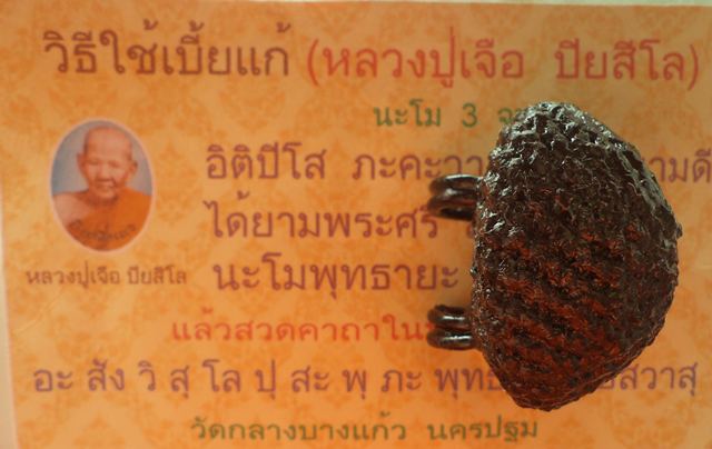 เบี้ยแก้วัดกลางบางแก้ว (ต้นตำหรับหลวงปู่เจือ พร้อมใบคาถา) อ.นครชัยศรี นครปฐม