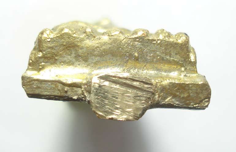 NEW ตอกโค๊ต แจกทาน และโคีตทอง หลวงปู่ทวด อ.ทอง วัดสำเภาเชย จ.ปัตตานี ((( พิมพ์เตารีดโบราณ )))