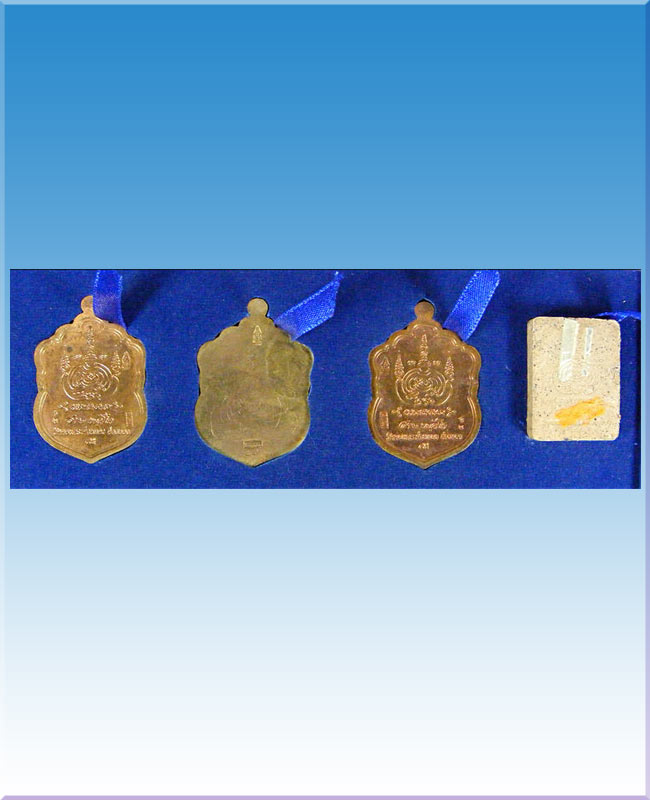 หลวงปู่สายวัดดอนกระต่ายทอง เหรียญชุดกรรมการเสมาบารมี95 No.48