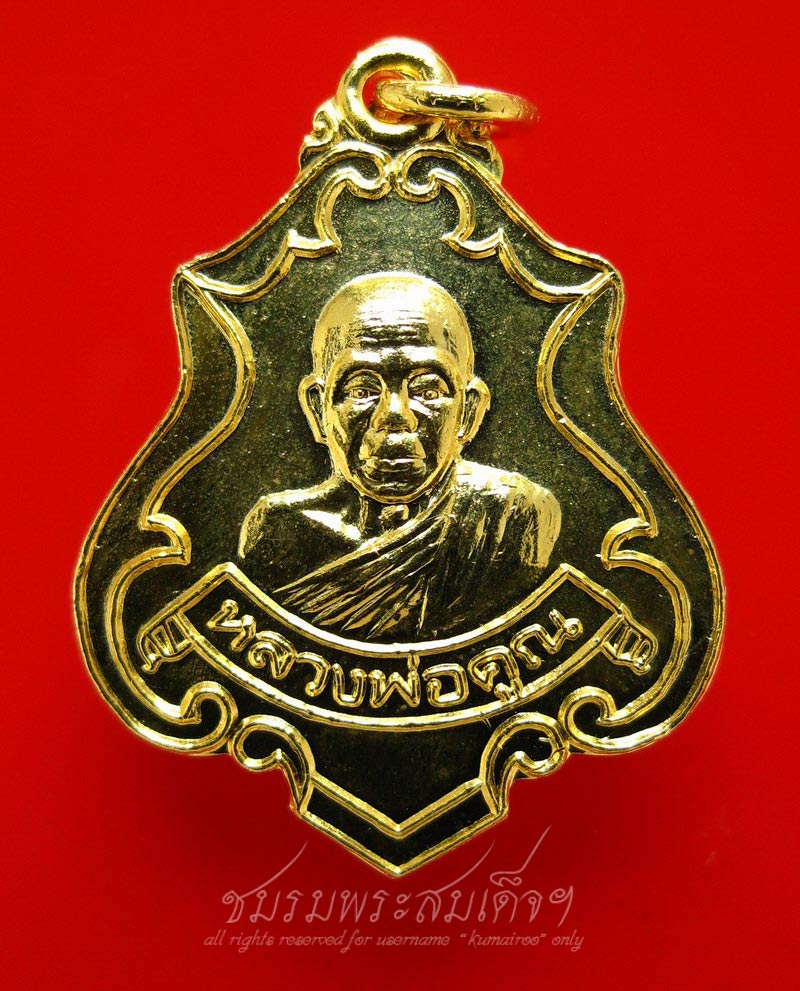 เหรียญปาดตาล ผิวกะหลั่ยทอง ออกวัดบ้านไร่ (37)