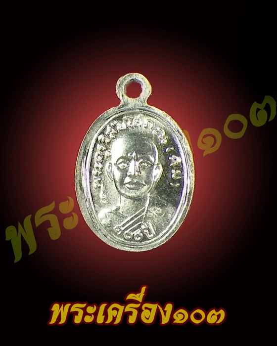 เม็ดแตงหลวงปู่ทวด วัดช้างให้ รุ่น 100 ปีอาจารย์ทิม เนื้ออาปาก้า (3)
